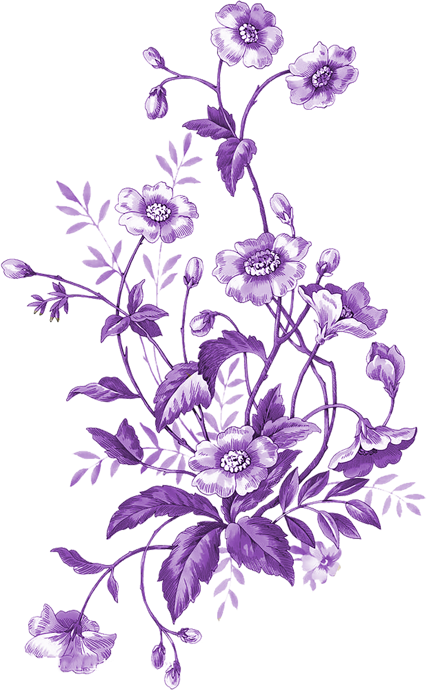 Purple Flowers Illustration 