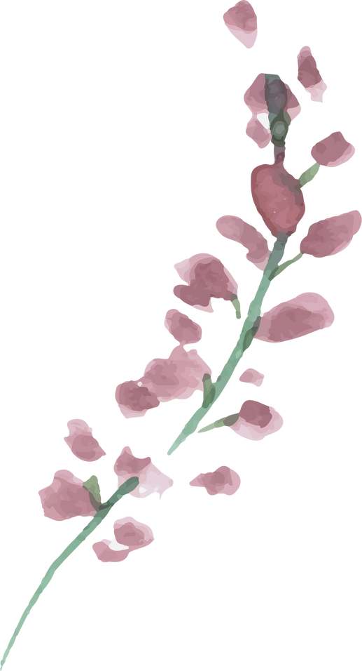 Watercolor Flower Plant Illustration